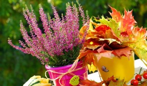 file51542407_29ea6382